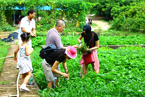 深圳觀瀾農家樂野炊燒烤體驗田園生活