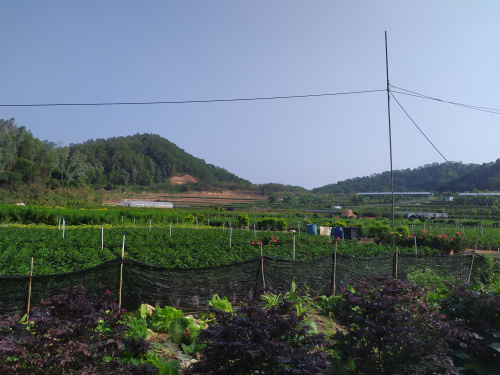 論深圳農家樂九龍莊園的發展前景